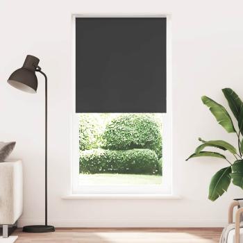 ARDEBO.de - Verdunkelungsrollo Schwarz 110x210 cm Stoffbreite 105,7 cm