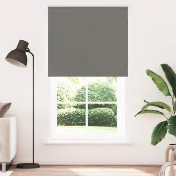 ARDEBO.de - Verdunkelungsrollo Grau 120x230cm Stoffbreite 116,6cm Polyester
