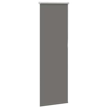 Verdunkelungsrollo Grau 60x175 cm Stoffbreite 55,7 cm Polyester