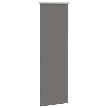 Verdunkelungsrollo Grau 55x150 cm Stoffbreite 50,7 cm Polyester