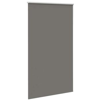 Verdunkelungsrollo Grau 120x210cm Stoffbreite 116,6cm Polyester