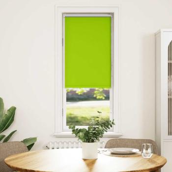 ARDEBO.de - Verdunkelungsrollo Grün 60x150 cm Stoffbreite 55,7 cm Polyester