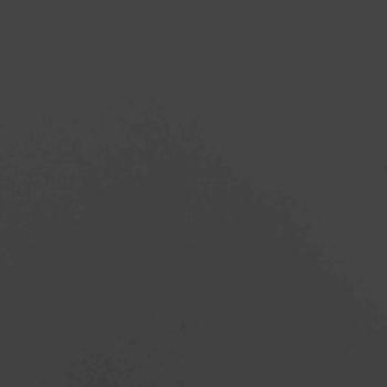 Pflanzkübel Schwarz 280x80x40 cm Stahl
