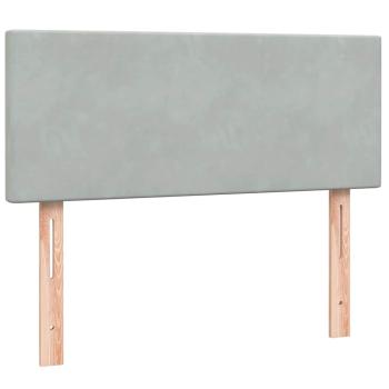 Boxspringbett mit Matratze Hellgrau 120x220 cm Samt