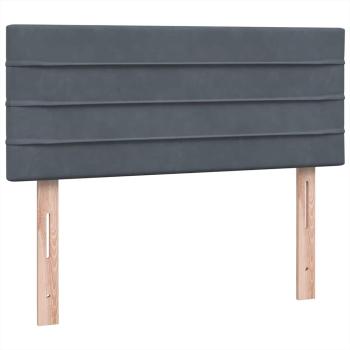 Boxspringbett mit Matratze Dunkelgrau 120x220 cm Samt