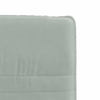 Esszimmerstühle 2 Stk. Hellgrau Samt