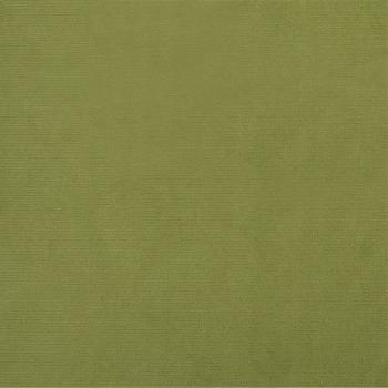 Schlafsofa 2-Sitzer Hellgrün Samt