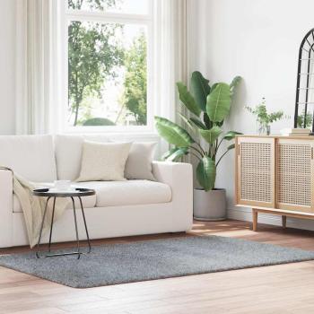 ARDEBO.de - Teppich Shaggy Hochflor NAVARRA Hellgrau 130x200 cm Polyester