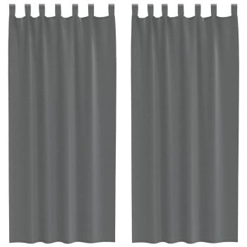 Voile Vorhänge mit Schlaufen 2 Stk. Dunkelgrau 140x245 cm