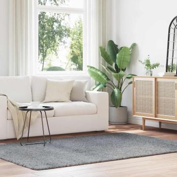 ARDEBO.de - Teppich Shaggy Hochflor NAVARRA Hellgrau 160x230 cm Polyester