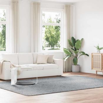 ARDEBO.de - Teppich Shaggy Hochflor NAVARRA Hellgrau 240x340 cm Polyester