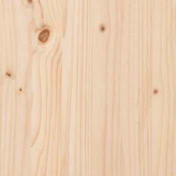 Gartenbox 101x50,5x46,5 cm Massivholz Kiefer