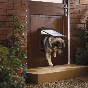 PetSafe 2-Wege Haustiertür Original M braun