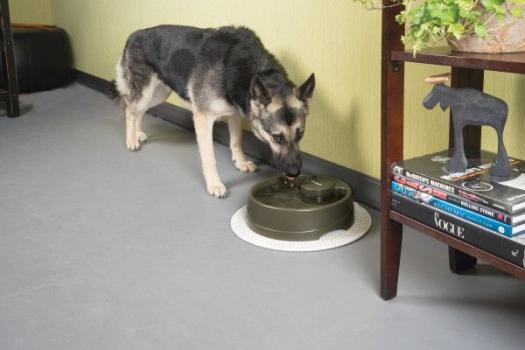 PetSafe Trinkbrunnen Drinkwell Strömung L