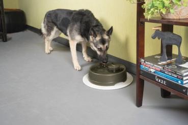 PetSafe Trinkbrunnen Drinkwell Strömung L