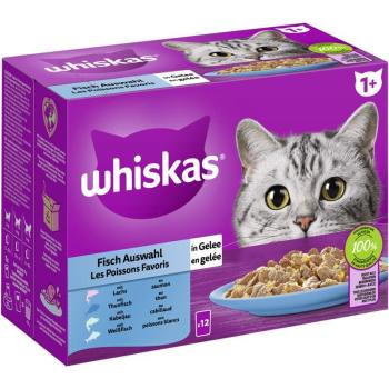 ARDEBO.de Whiskas Portionsbeutel Multipack 1+ Fisch Auswahl in Gelee 12 x 85g