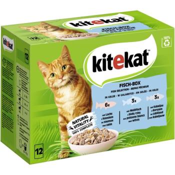 ARDEBO.de Kitekat Portionsbeutel Multipack Fisch-Box in Gelee 12x85g