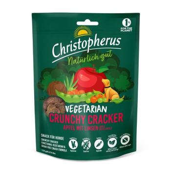 ARDEBO.de Christopherus Snack Vegetarian Apfel & Linsen 125g