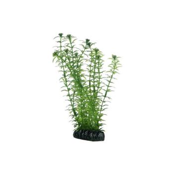 ARDEBO.de Dohse HOBBY Lagarosiphon 20 cm