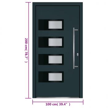 Haustür Anthrazit 100x200 cm Aluminium und PVC