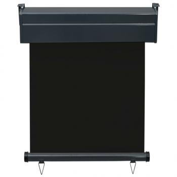 Balkon-Seitenmarkise 65x250 cm Schwarz