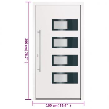 Haustür Weiß 100x200 cm Aluminium und PVC