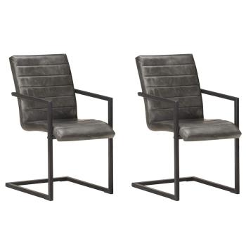ARDEBO.de - Freischwinger 2 Stk. Grau Echtleder