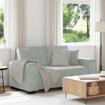 ARDEBO.de - 2-Sitzer-Sofa Hellgrau 120 cm Samt