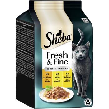 ARDEBO.de Sheba P.B. MP Fresh & Fine Truthahn, Huhn & Geflügel in Gelee 6x50g