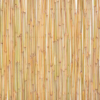 Gartenzaun Bambus 300 x 100 cm