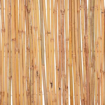 Gartenzaun Bambus 500 x 50 cm