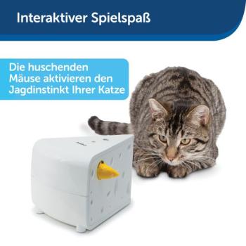 PetSafe Cheese Automatisches Katzenspielzeug 