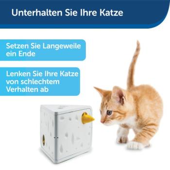 PetSafe Cheese Automatisches Katzenspielzeug 