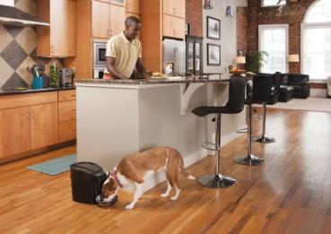 PetSafe Healthy Pet Simply Feed Futterautomat digital und programmierbarer 