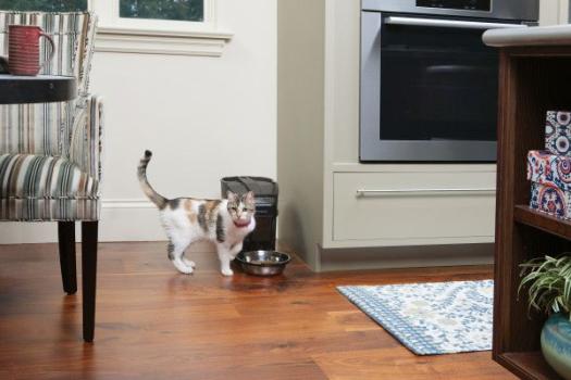 PetSafe Healthy Pet Simply Feed Futterautomat digital und programmierbarer 
