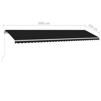 Standmarkise Manuell Einziehbar 600x350 cm Anthrazit