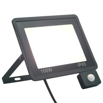ARDEBO.de - LED-Fluter mit Sensor 100 W Kaltweiß