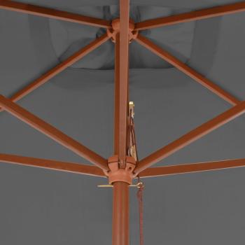 Sonnenschirm mit Holz-Mast 200x300 cm Anthrazit