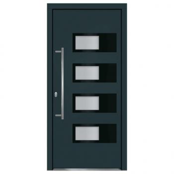Haustür Anthrazit 100x210 cm Aluminium und PVC