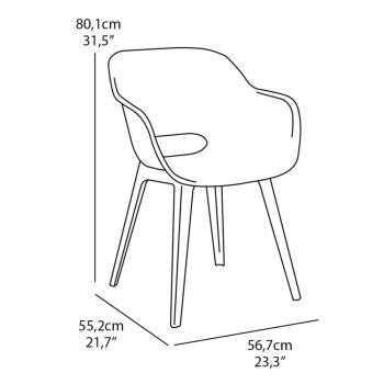 Keter Gartenstühle Akola 2 Stk. Cappuccino-Braun