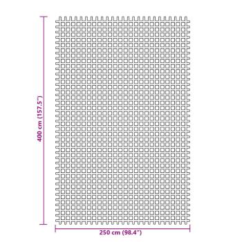 Zeltteppich Anthrazit 4x2,5 m