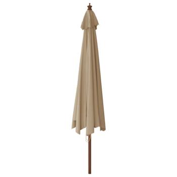 Sonnenschirm mit Holzmast Taupe 400x273 cm
