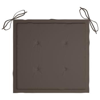 Gartenstühle mit Kissen 2 Stk. Massivholz Teak und Stahl