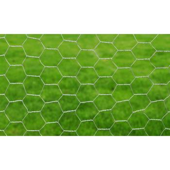Drahtzaun für Hühner Verzinkter Stahl 25x1 m Silbern