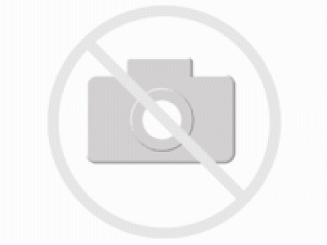 ARDEBO.de Vollmers Grünlippmuschelpulver 150g