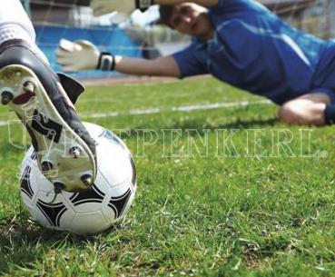 ARDEBO.de Kiepenkerl RSM 3.2 Profi Sportrasen Regeneration ohne Poa pratensis 10 kg