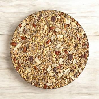 Classic Bird Terrassenmix 10 kg