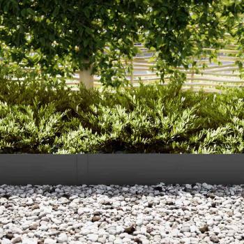 Raseneinfassung 50 pcs 100 x 0,05 x 20 cm Kalt gewalzter Stahl