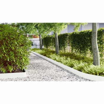 Raseneinfassung 50 pcs 100 x 0,05 x 20 cm Kalt gewalzter Stahl