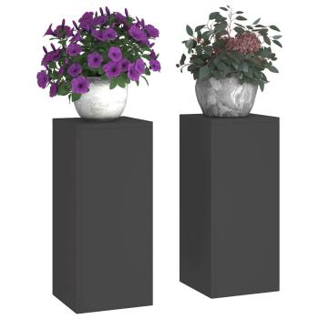 Outdoor Pflanzenständer Säule 2 Stk Schwarz 24x24x55 cm Stahl